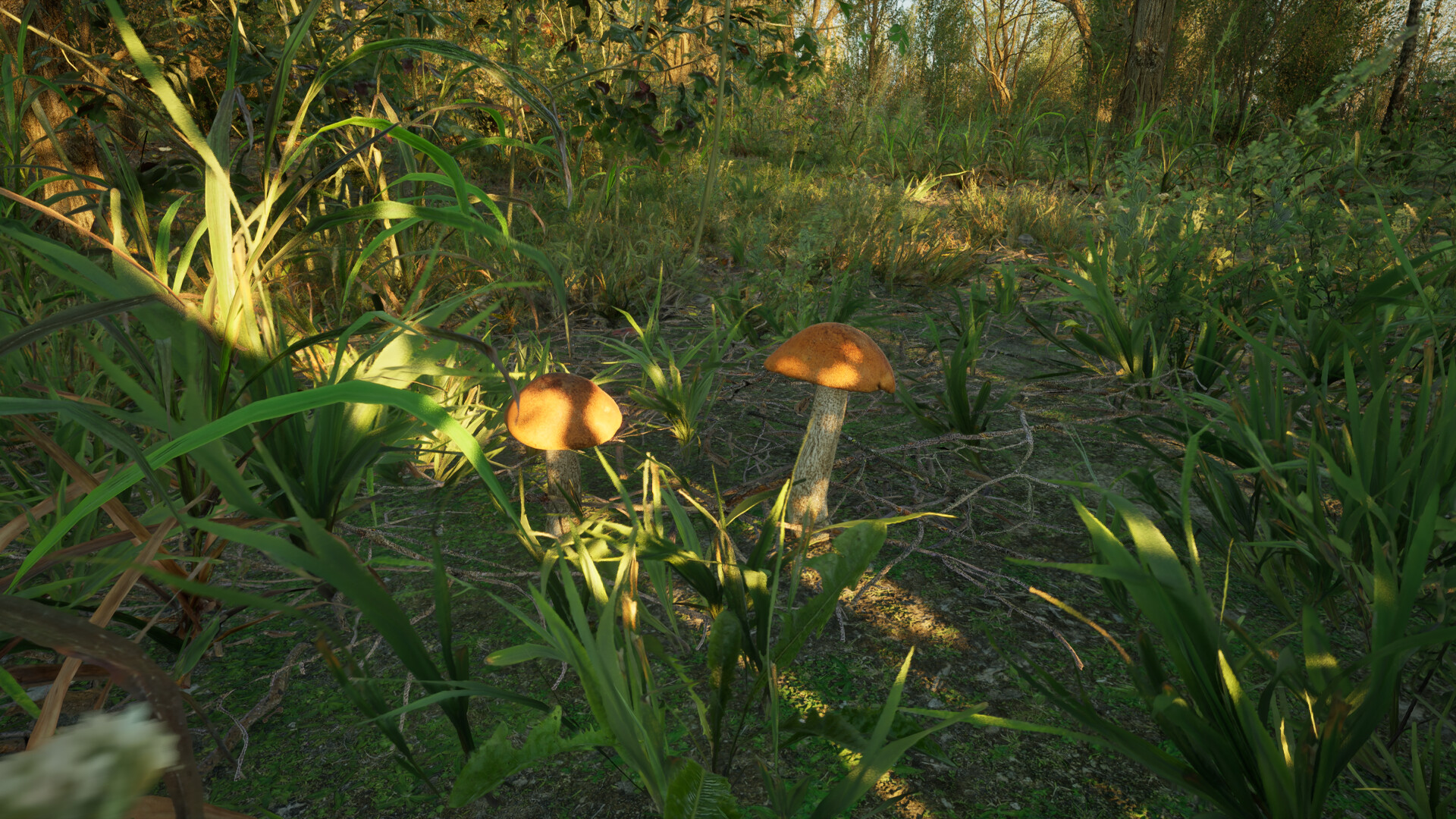Forest Doesn’t Care screenshot 15