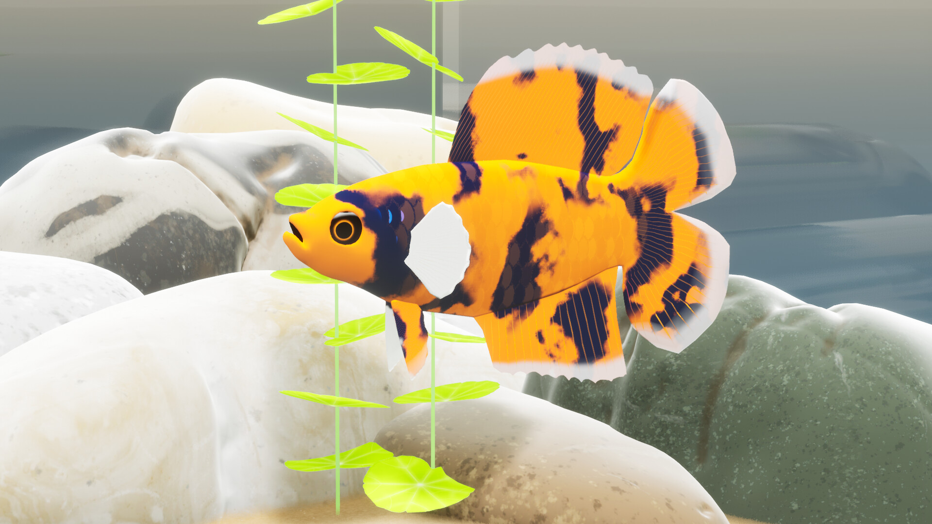 Fish Game - Betta Fish Pack 1 screenshot 3