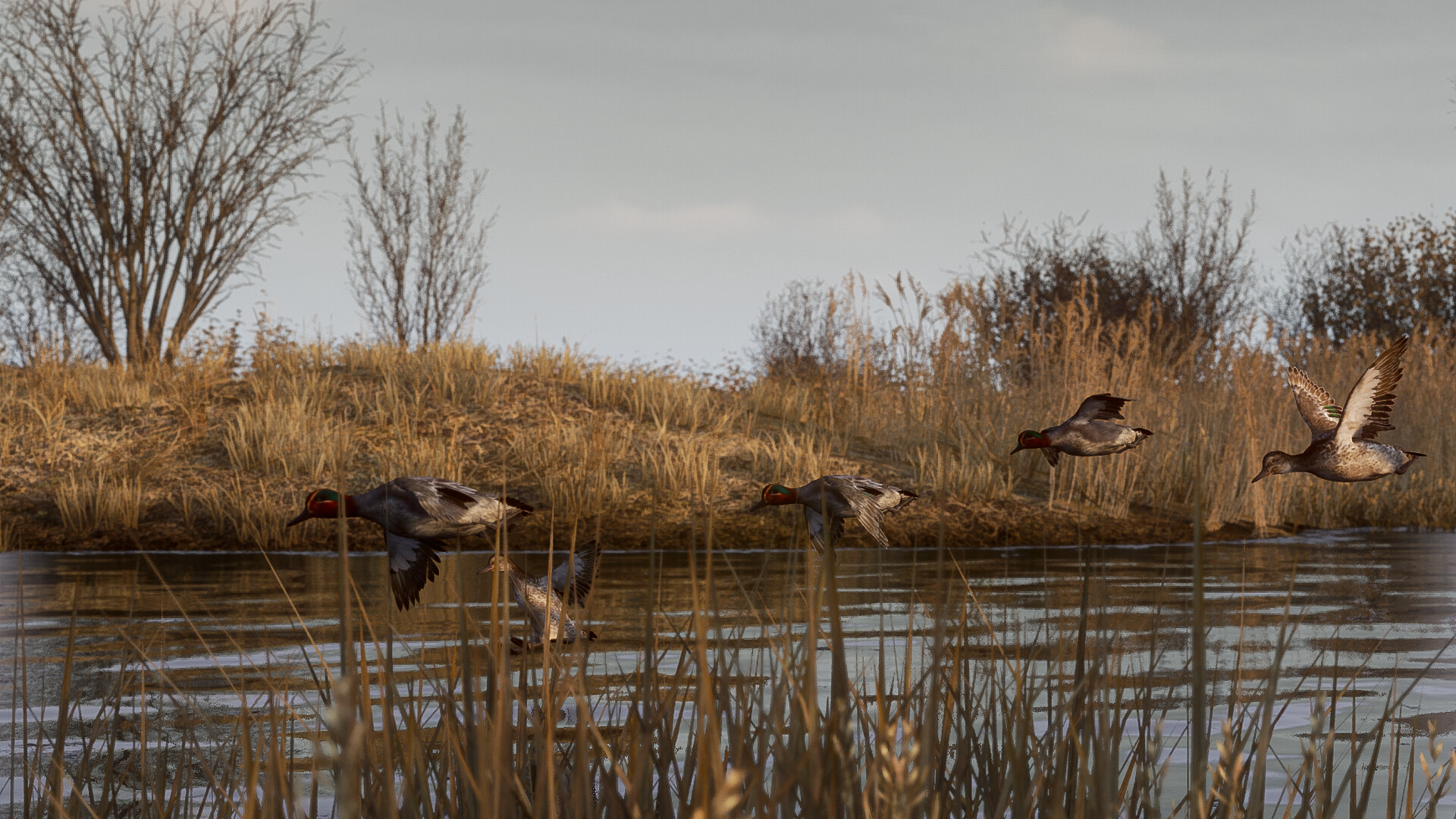 BULT: Hunting simulator screenshot 13