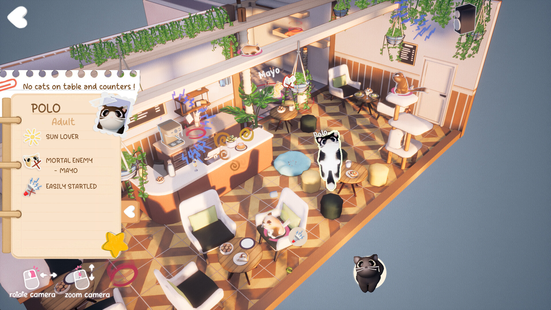 Kitty Haven screenshot 6