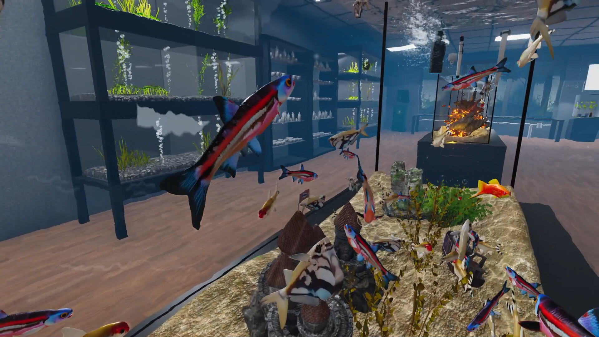 Aquarist - American Fish DLC screenshot 7