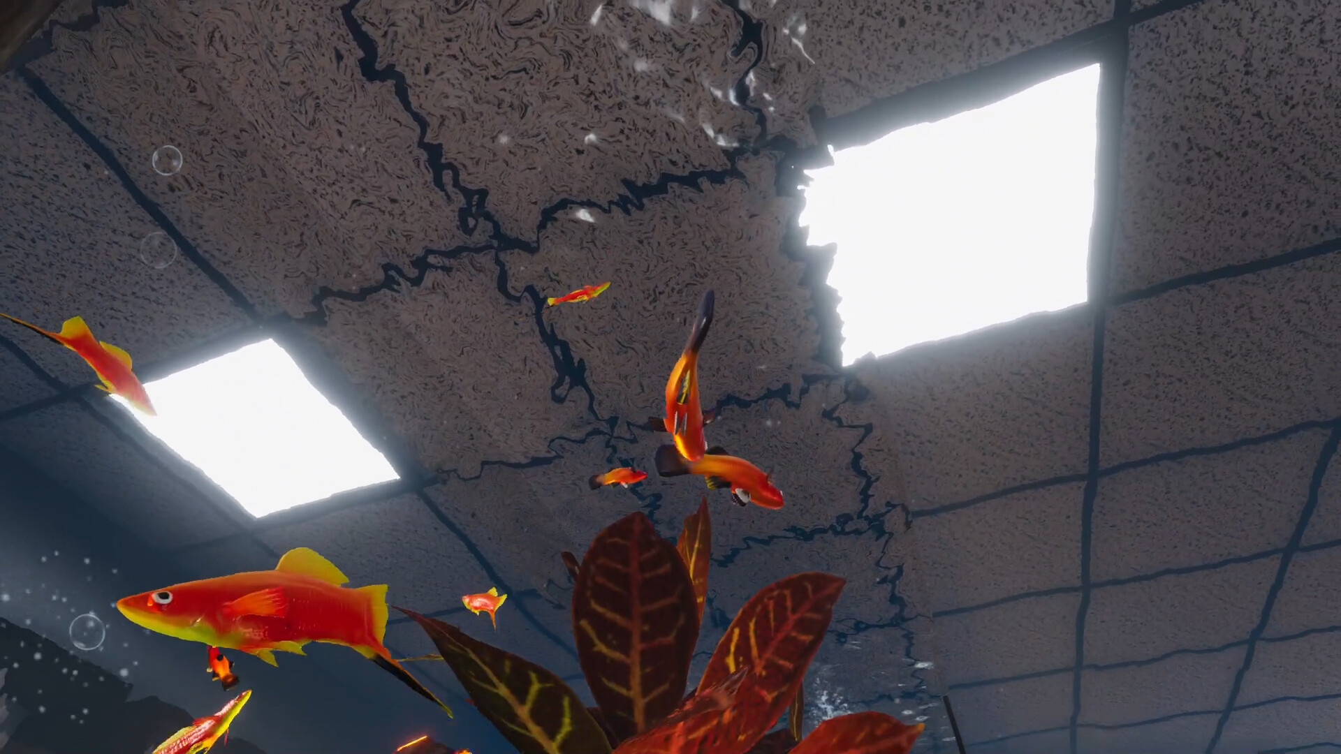 Aquarist - American Fish DLC screenshot 9