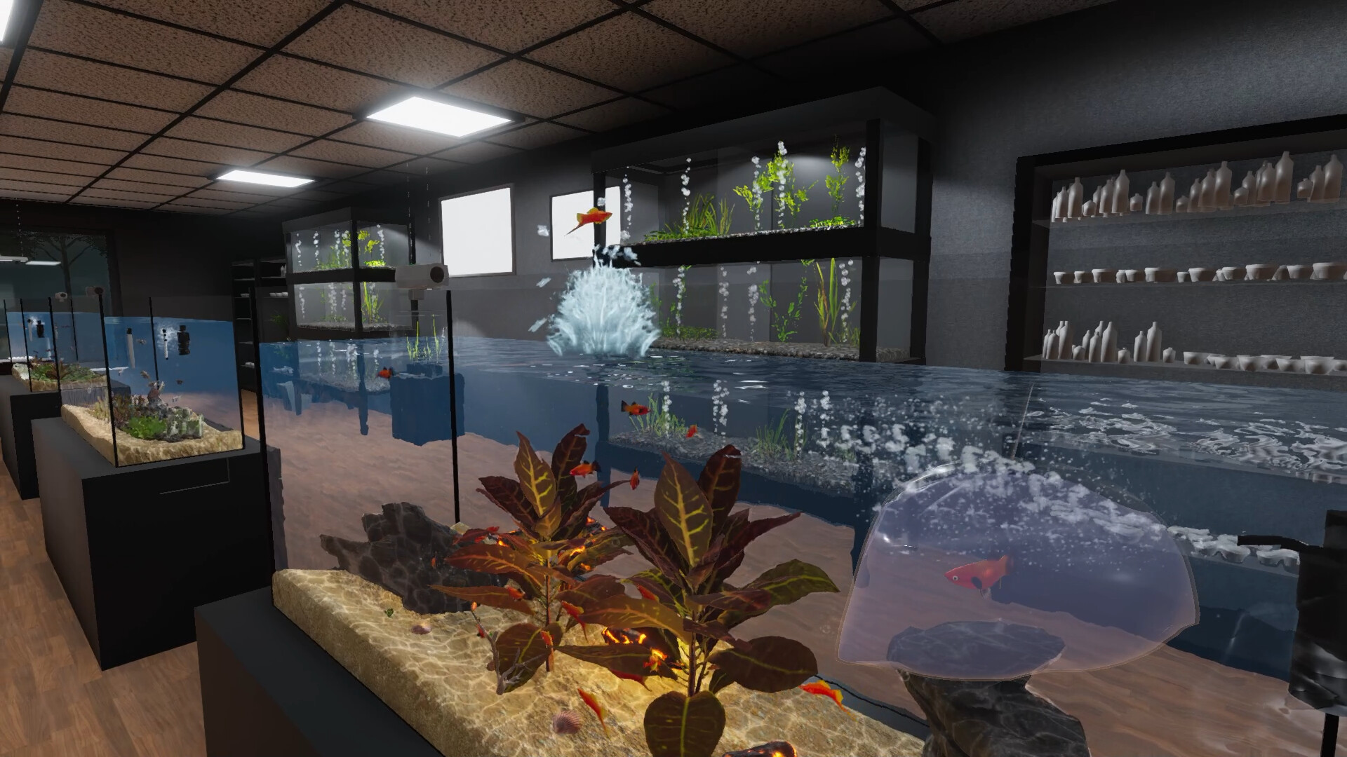 Aquarist - American Fish DLC screenshot 10