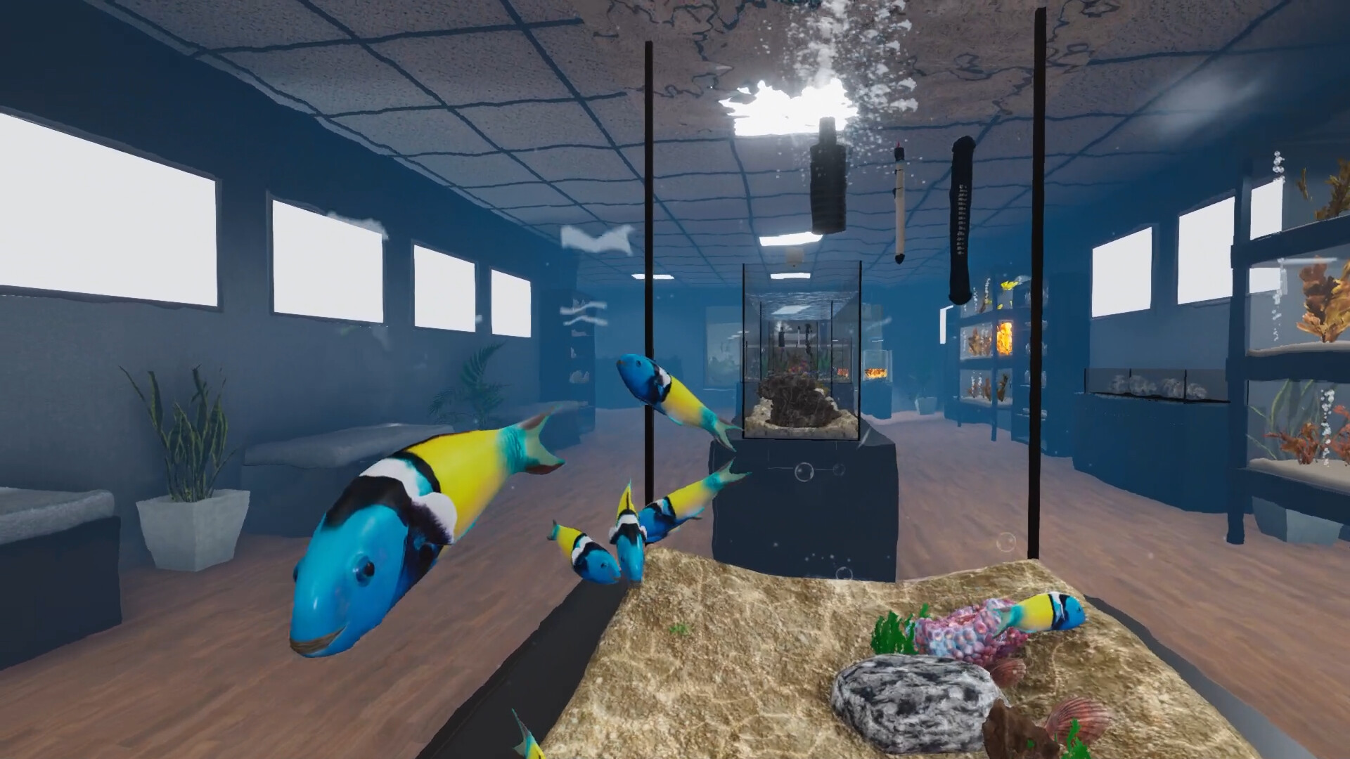Aquarist - American Fish DLC screenshot 3