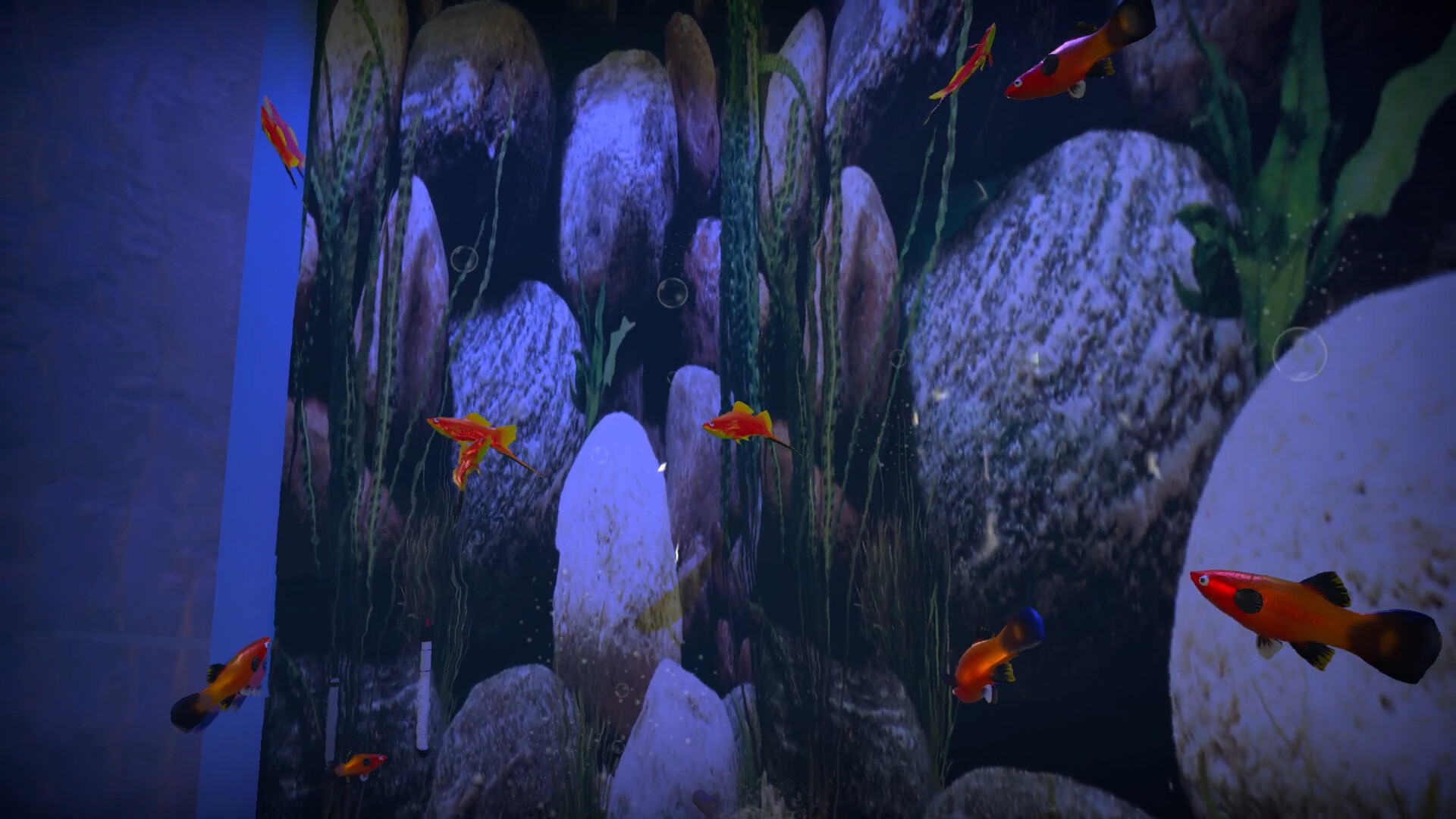Aquarist - American Fish DLC screenshot 12