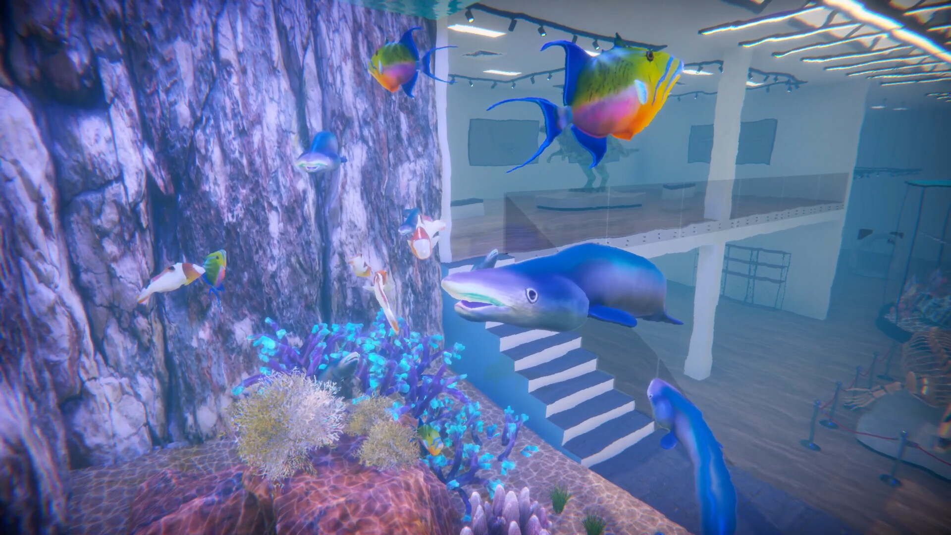 Aquarist - American Fish DLC screenshot 1