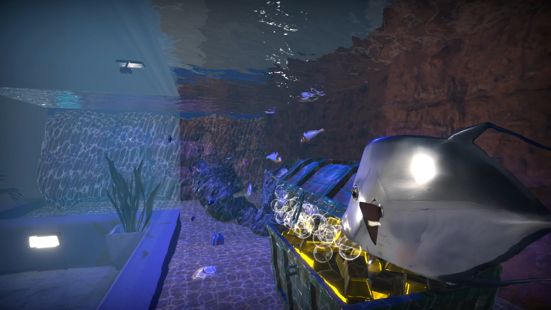 Aquarist - American Fish DLC screenshot 8