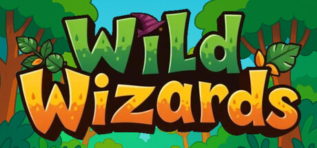 Wild Wizards