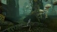 Screenshot #7