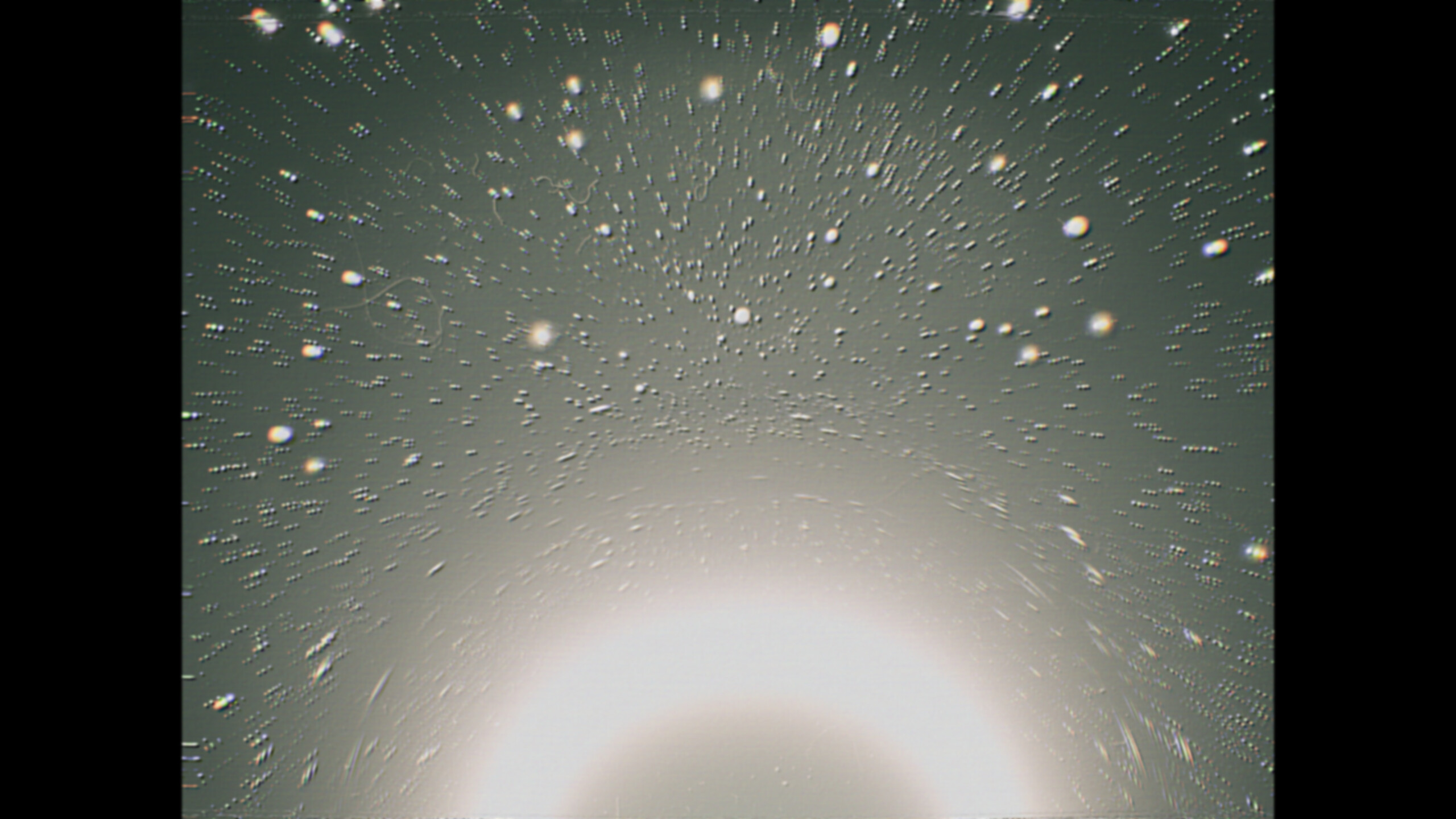 GORE screenshot 12