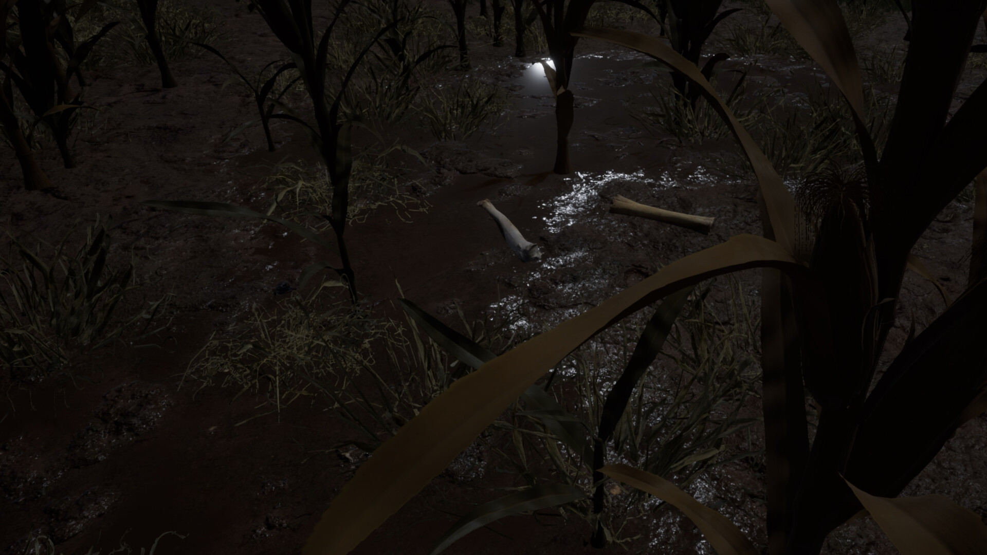 Bruja screenshot 6