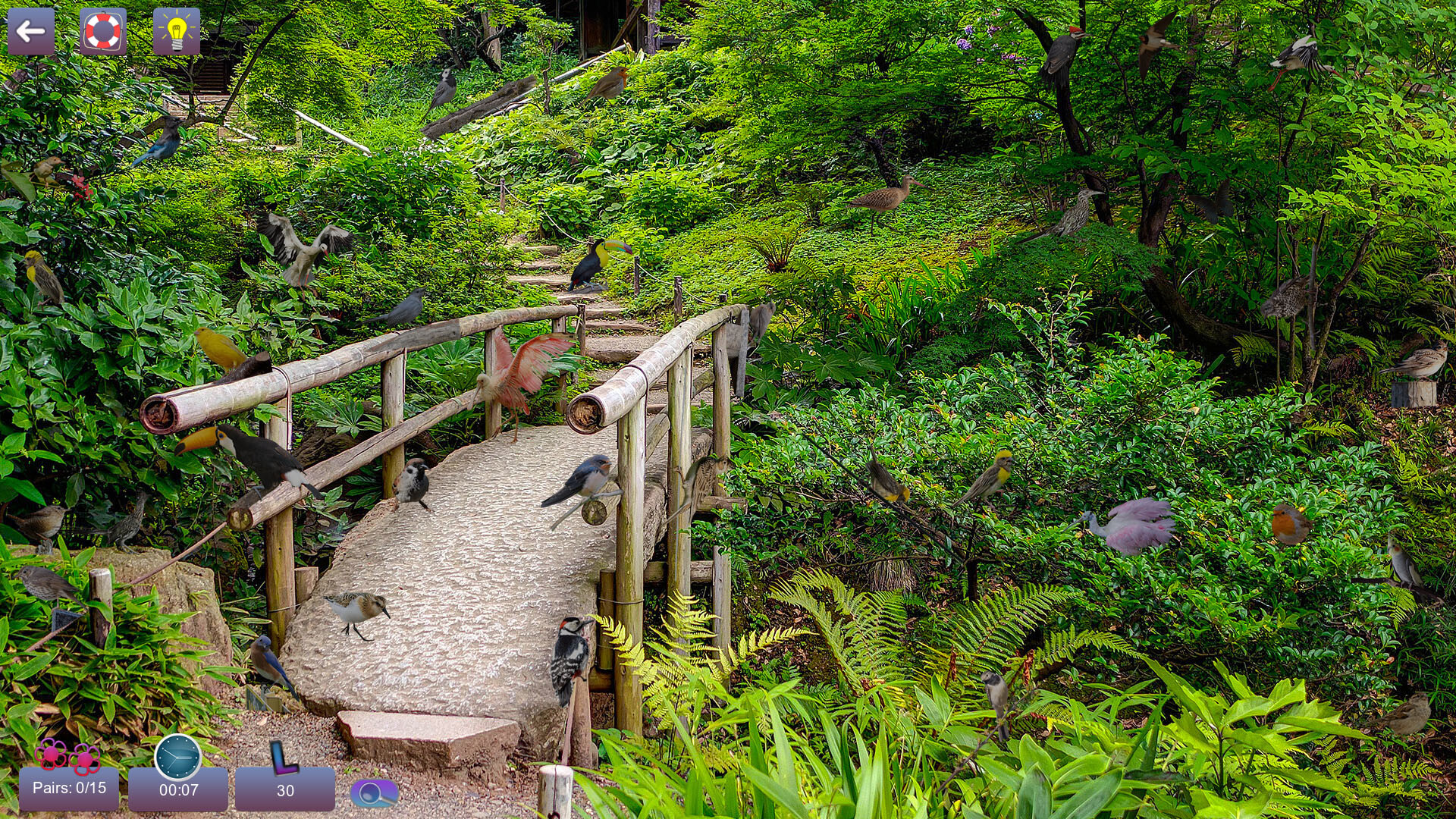 Hidden Pairs 3: Lovely Birds Demo