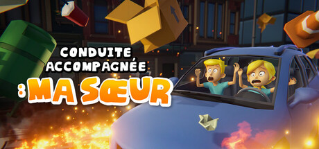 Conduite Accompagnée : Ma sœur