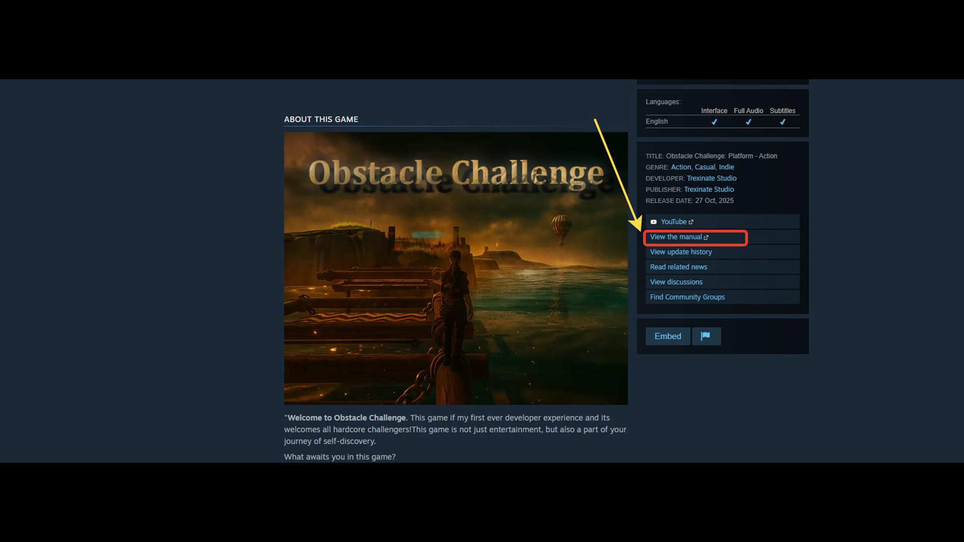 Obstacle Challenge: Platform - Action screenshot 7