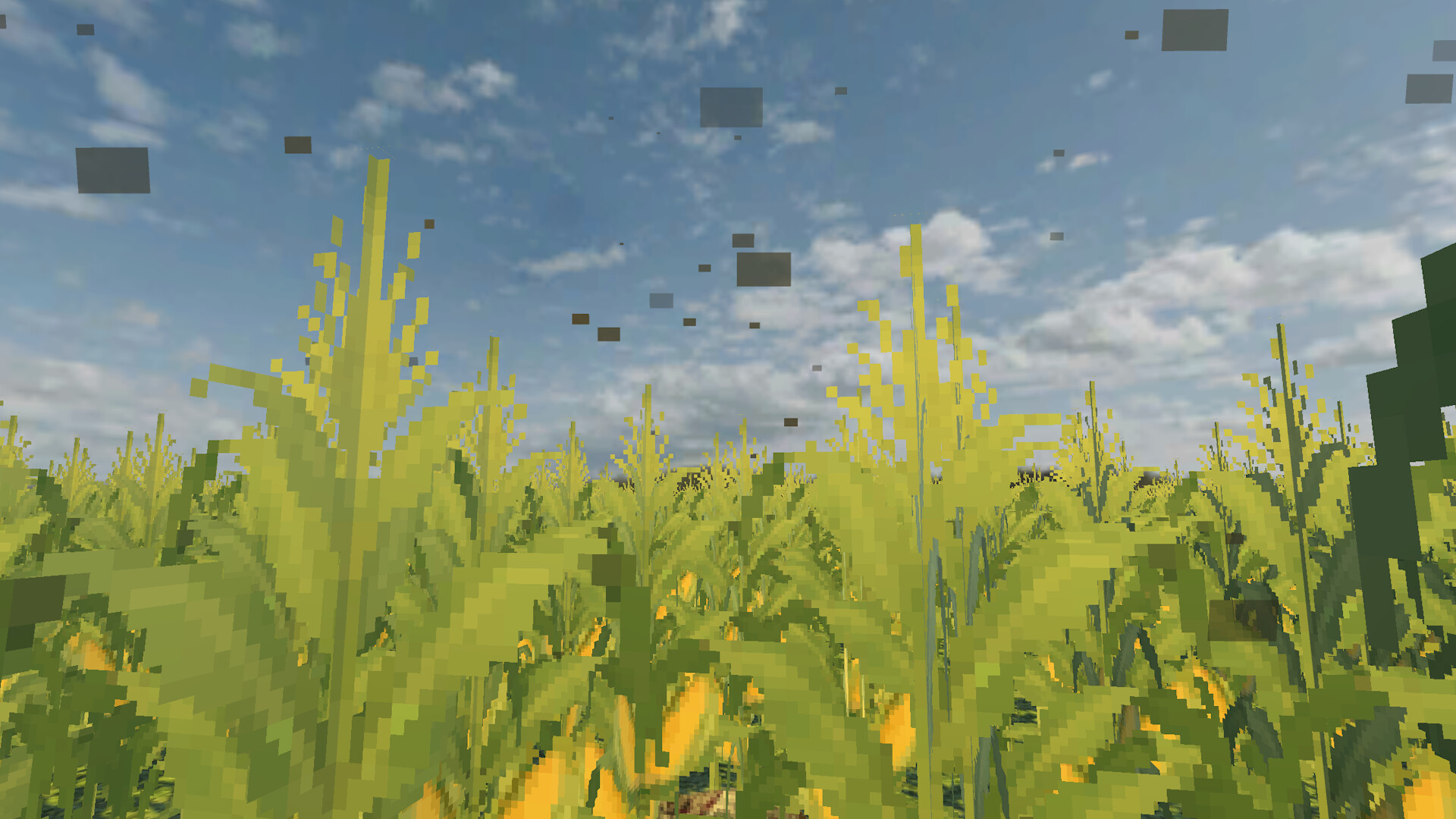 The Field Between screenshot 4