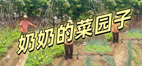 奶奶的菜园子