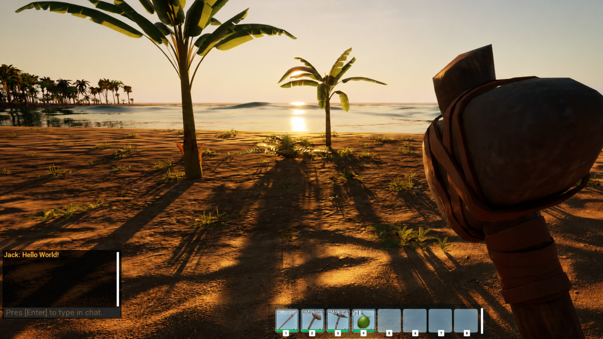 Surviving The Island screenshot 1