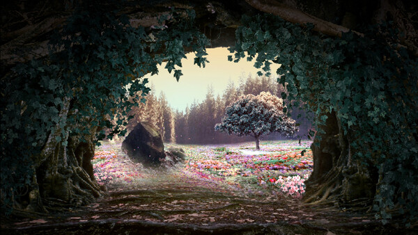 Cucina Stellata screenshot
