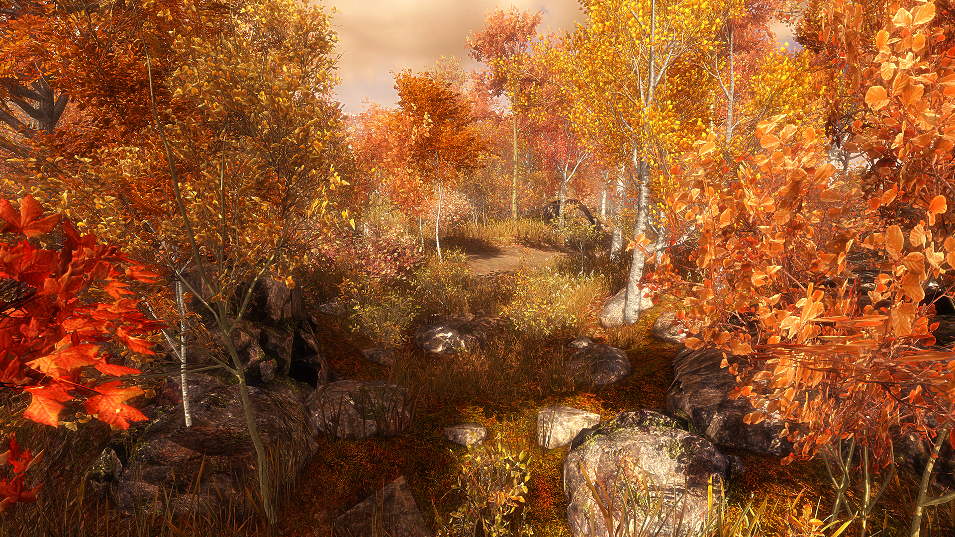 Guided Meditation VR screenshot 11