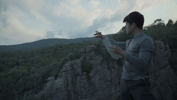 말없는 숲 Wordless Forest screenshot 3