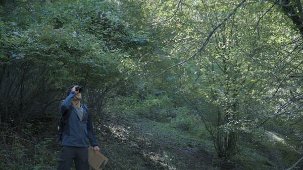 말없는 숲 Wordless Forest screenshot 9