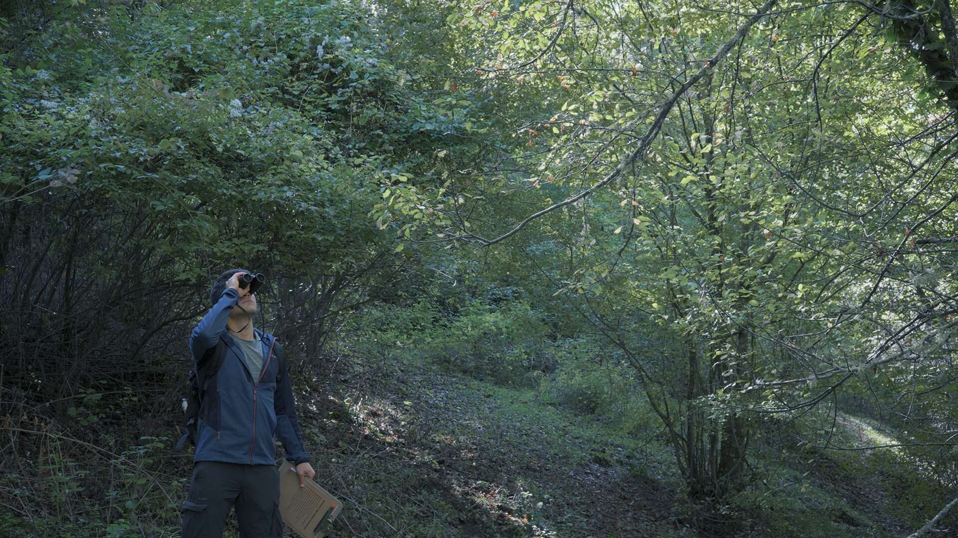 Wordless Forest screenshot 9