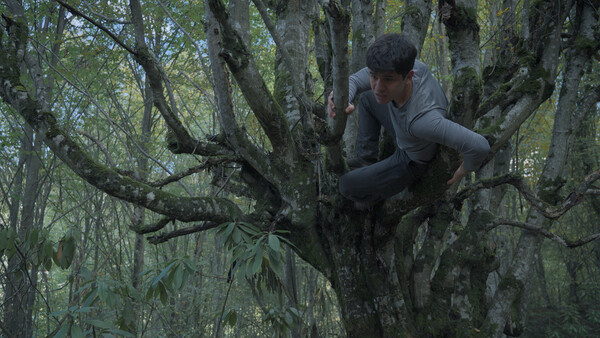 말없는 숲 Wordless Forest screenshot 6