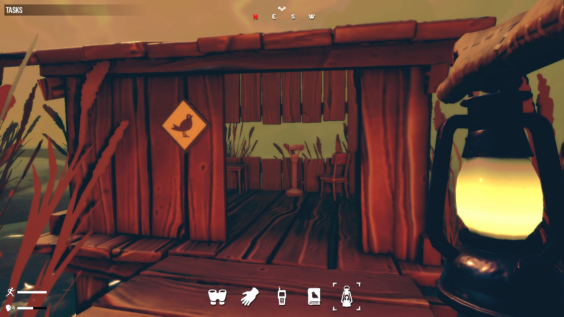 Birds Watching screenshot 13
