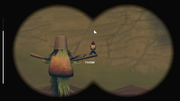 Birds Watching screenshot