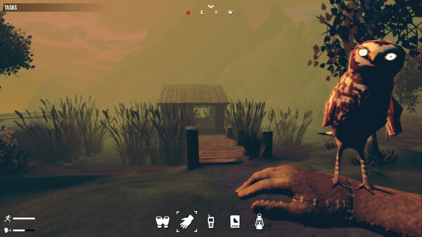 Birds Watching screenshot