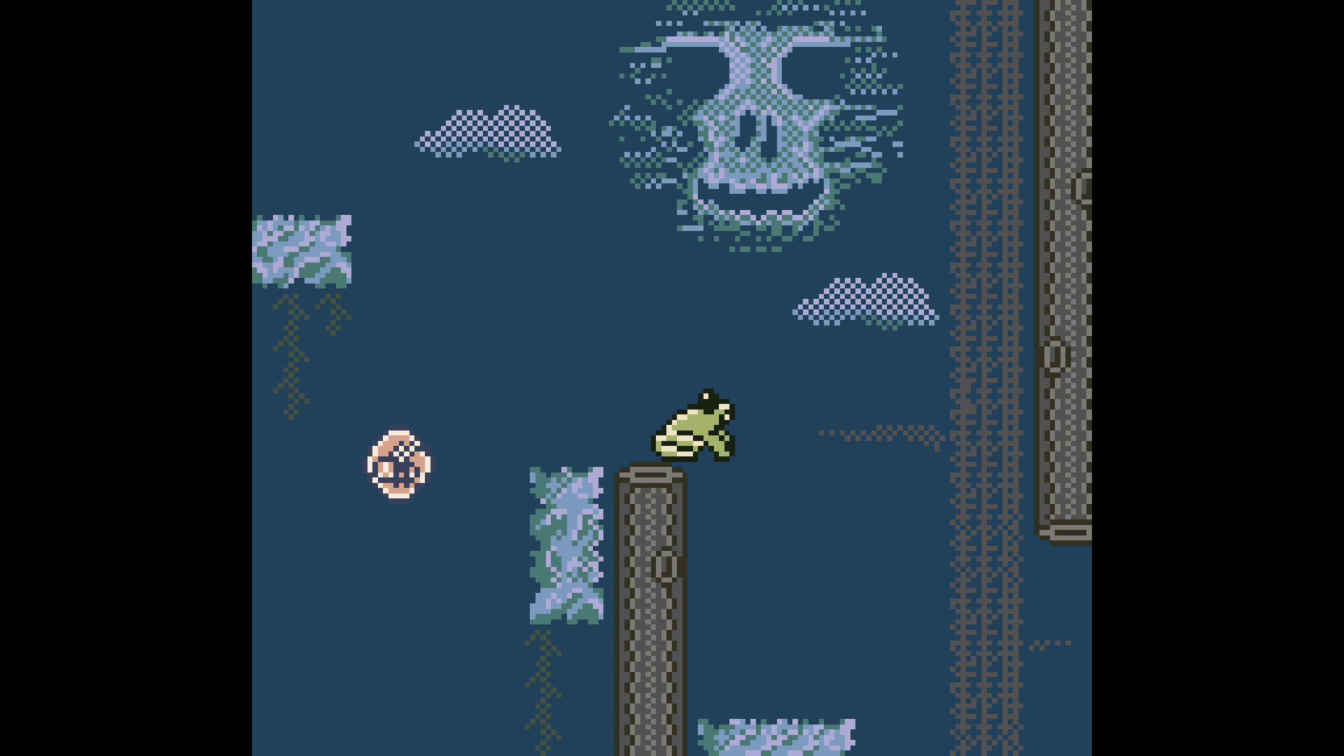 Pyrotoad screenshot 13