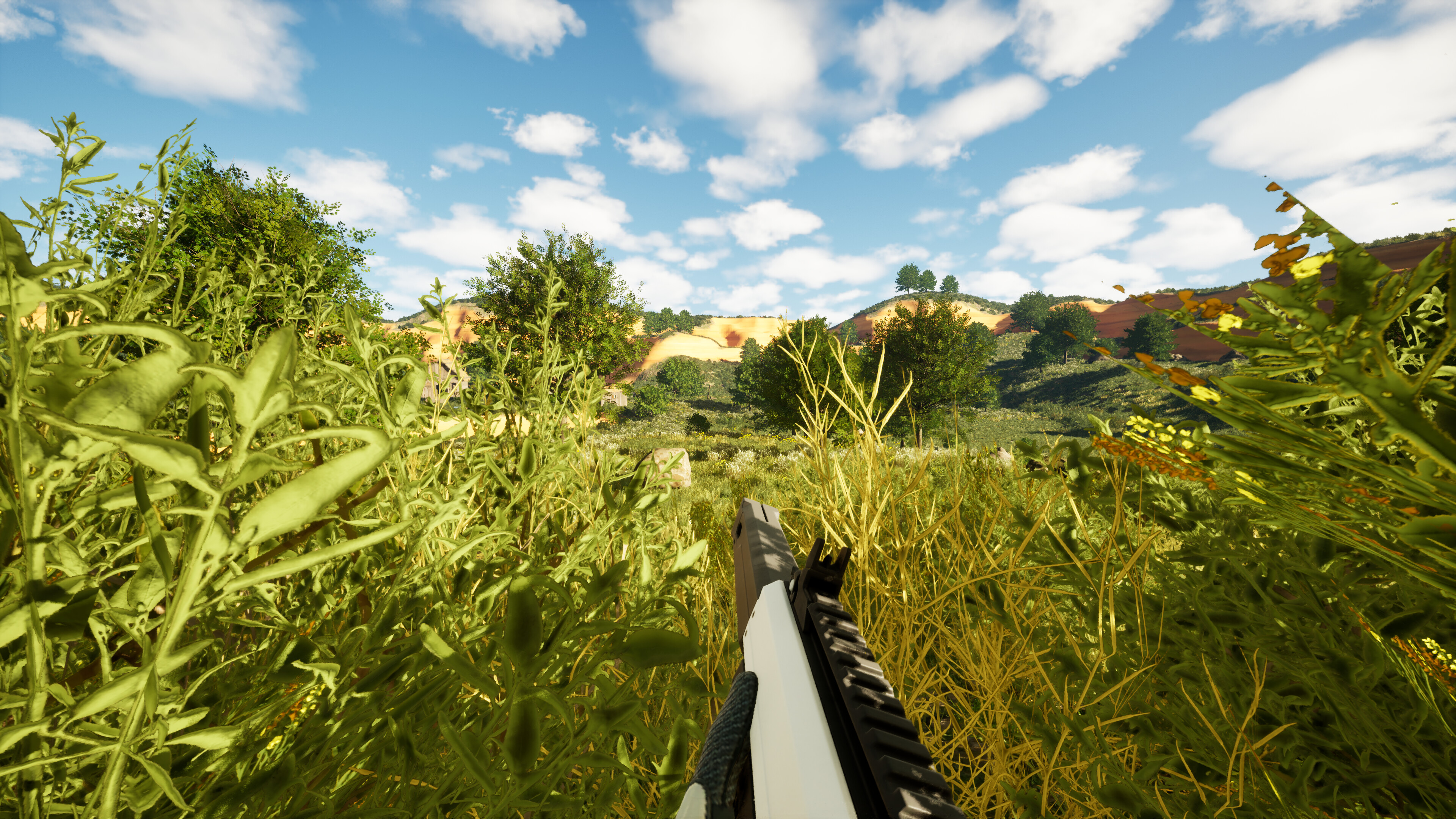 Blank Canvas screenshot 3