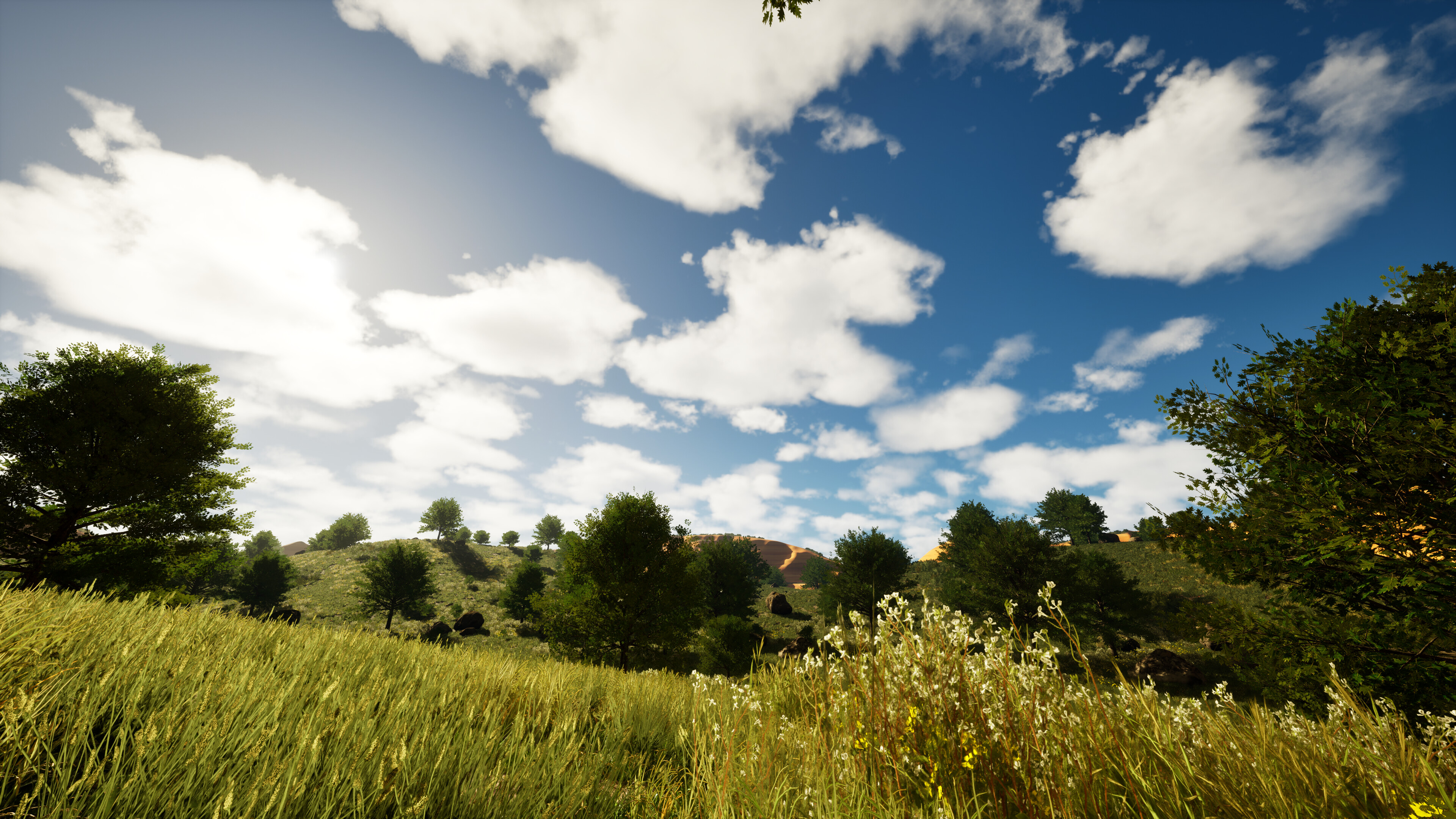 Blank Canvas screenshot 4