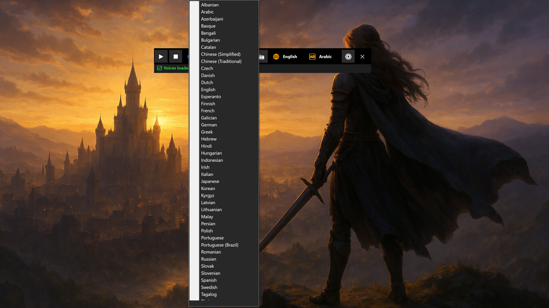 Easy Translator screenshot 13