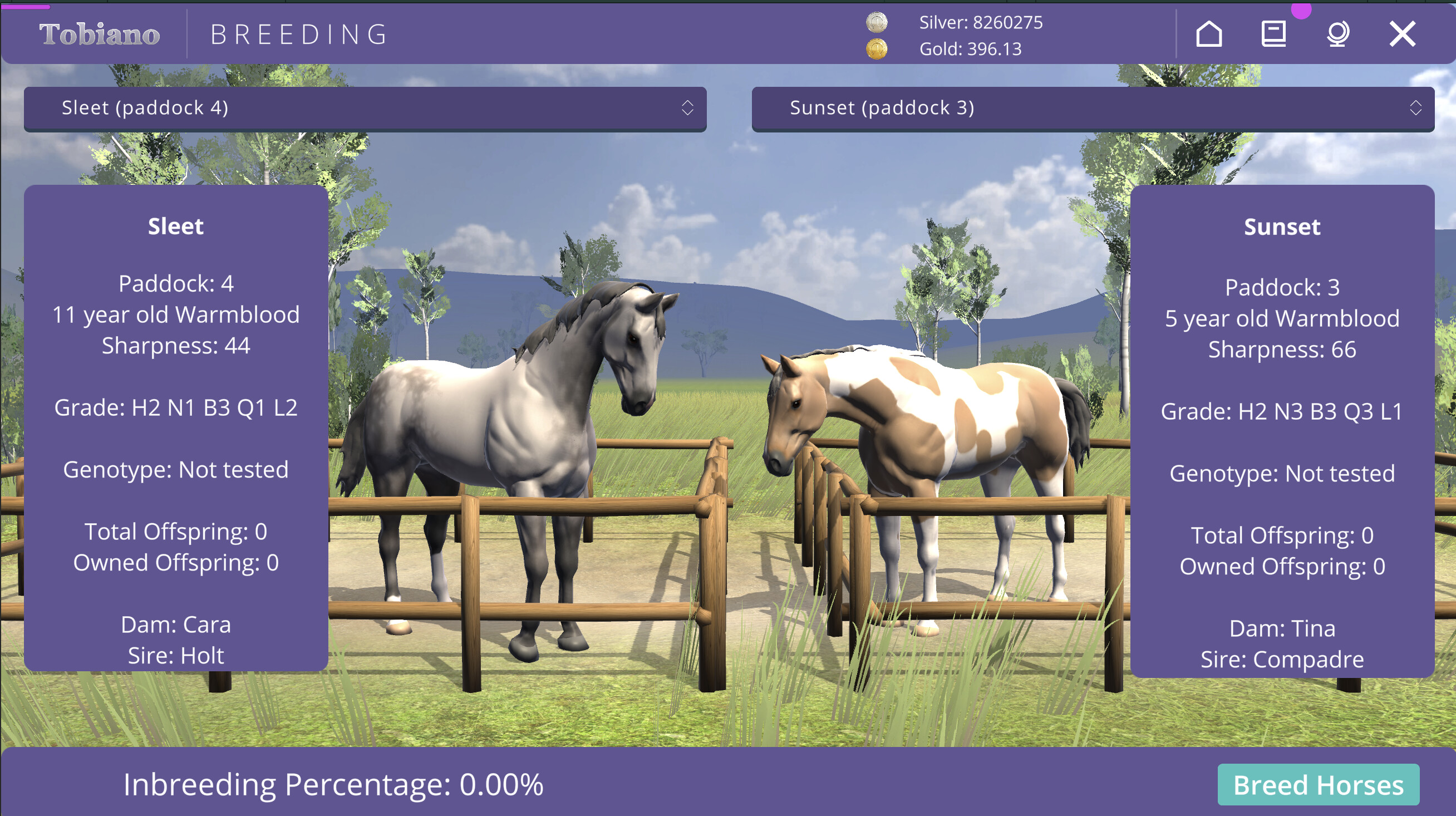 Tobiano screenshot 6
