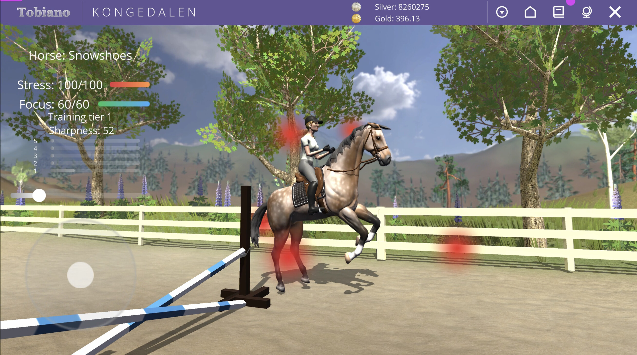 Tobiano screenshot 2
