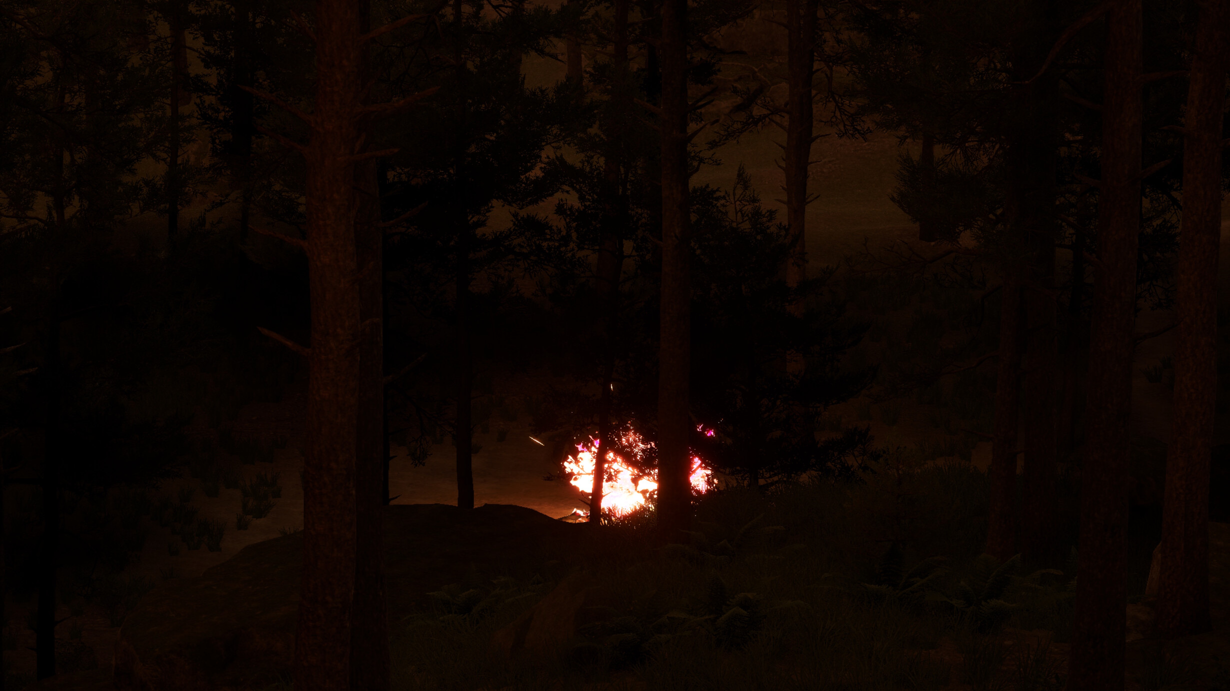 Shutter screenshot 8