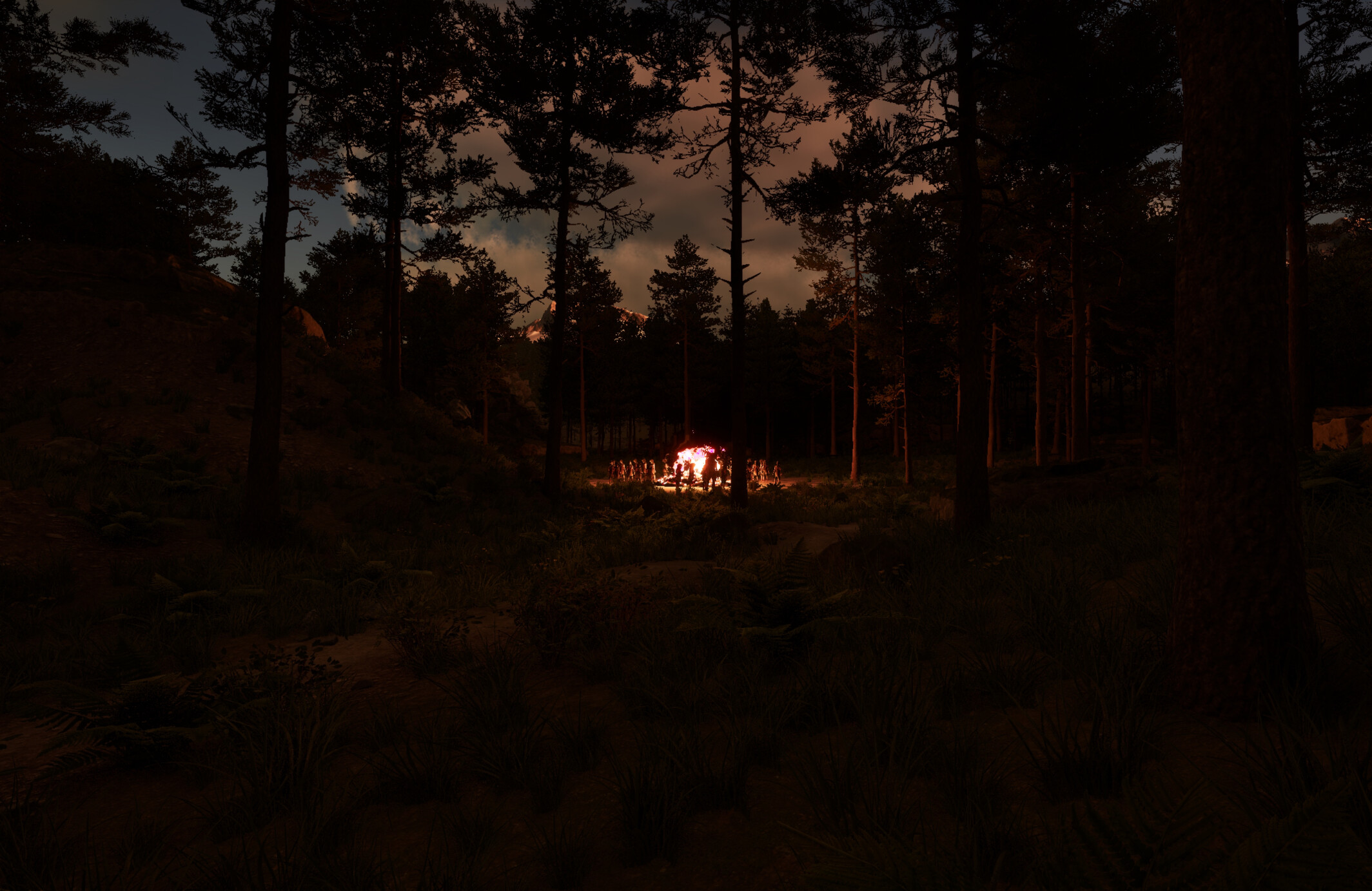 Shutter screenshot 9