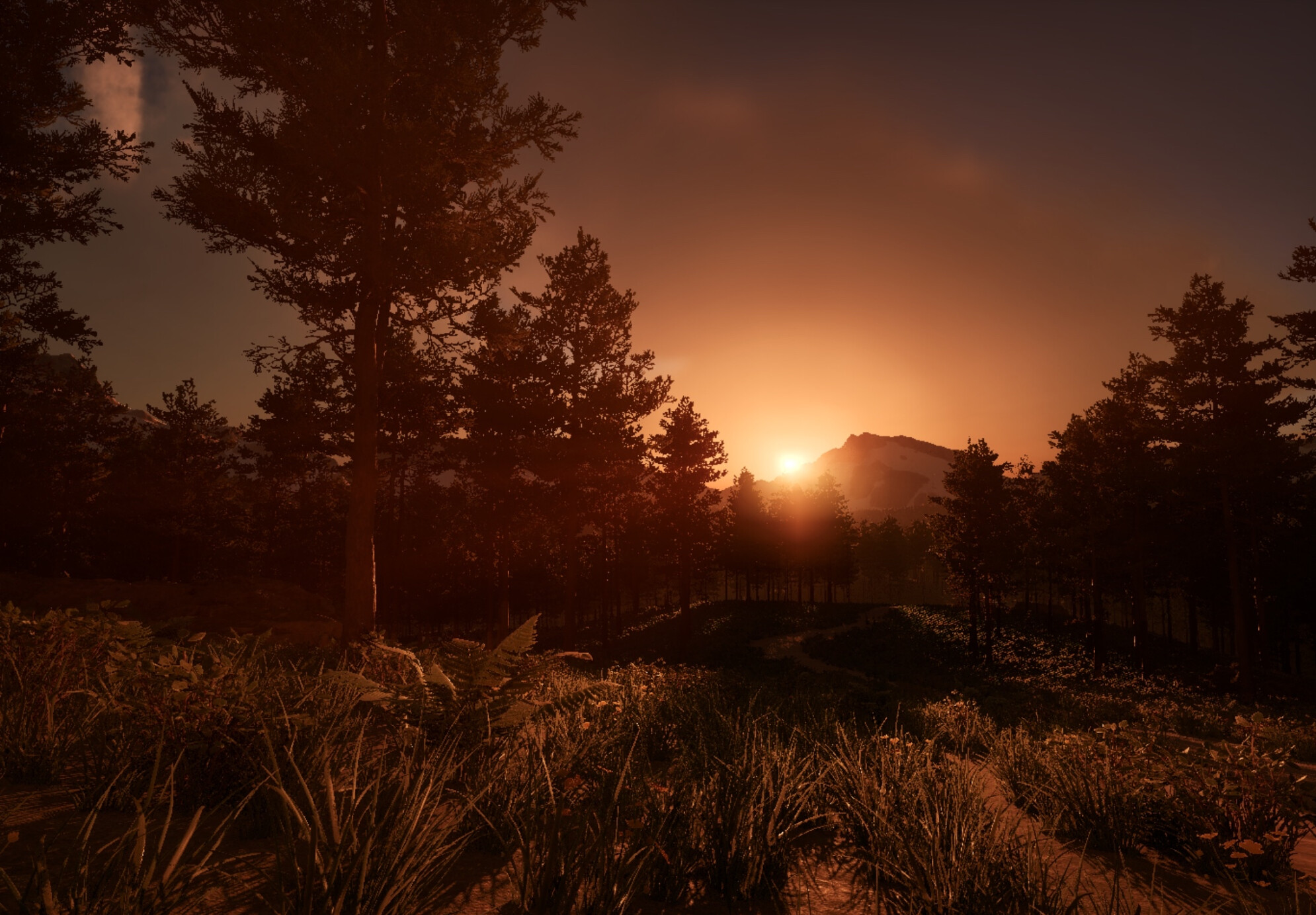 Shutter screenshot 5
