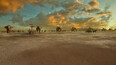 Screenshot #9