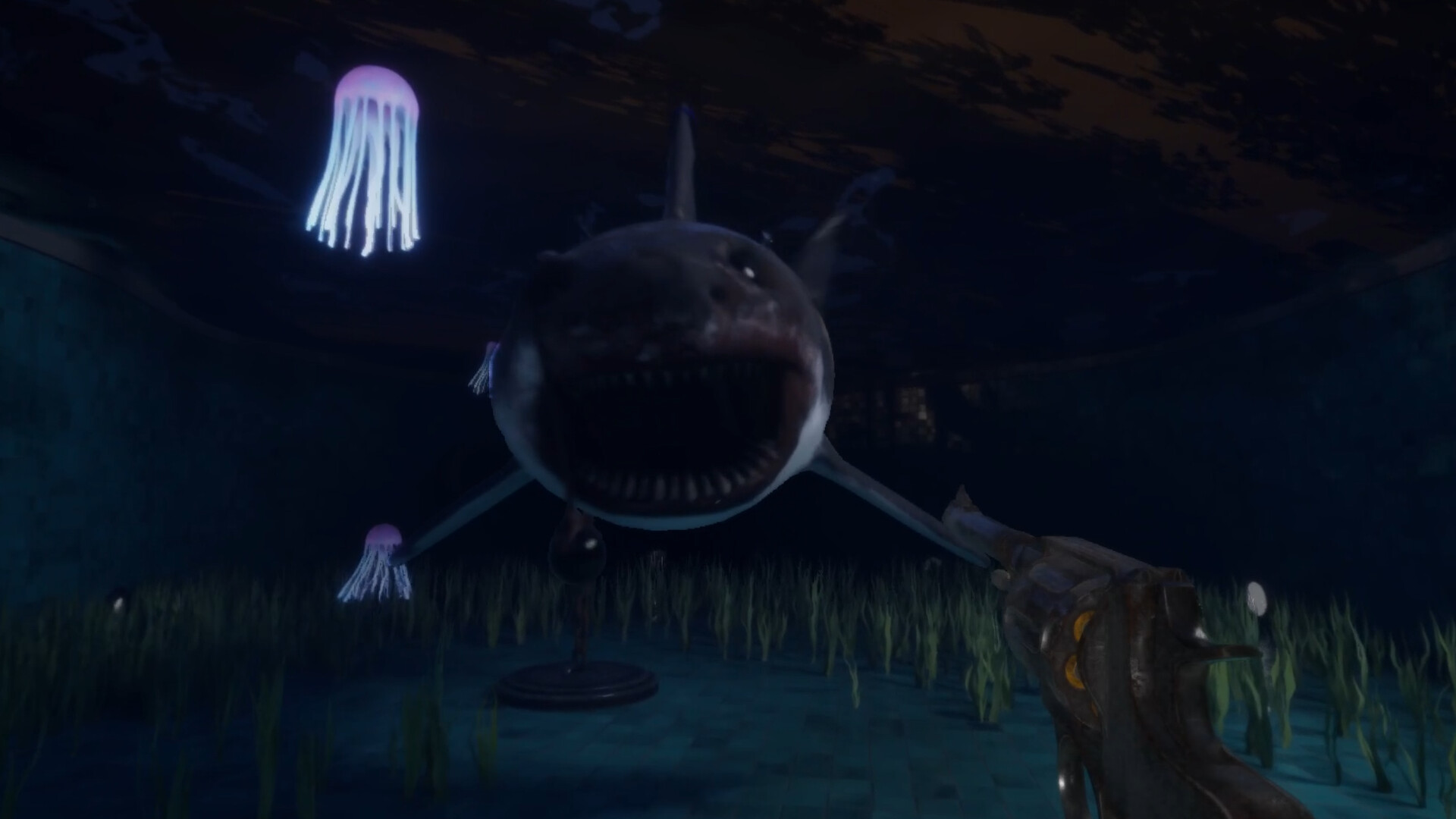 Fish Eyes screenshot 3