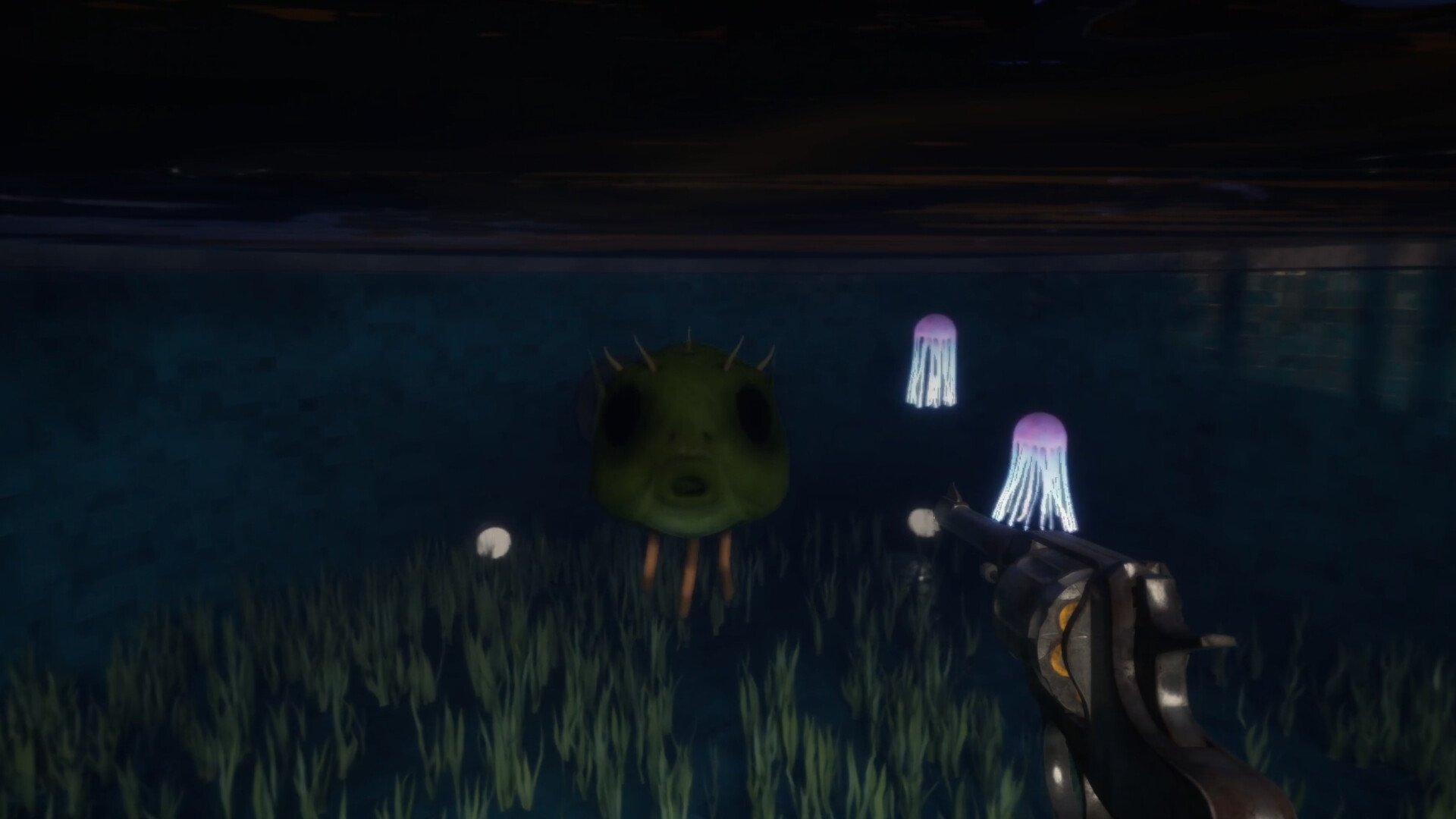 Fish Eyes screenshot 6