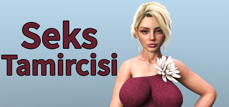 Seks Tamircisi