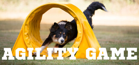 Agility Game