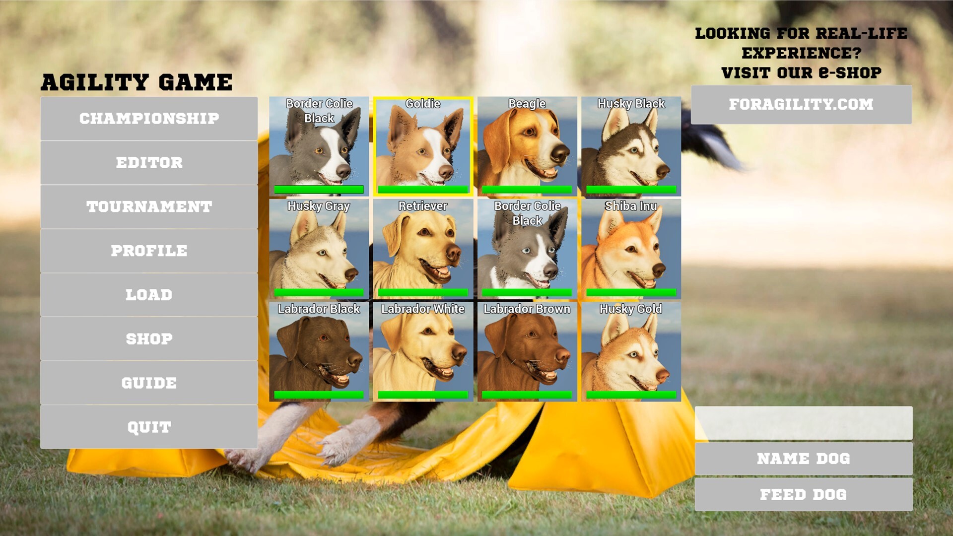 Agility Game screenshot 1