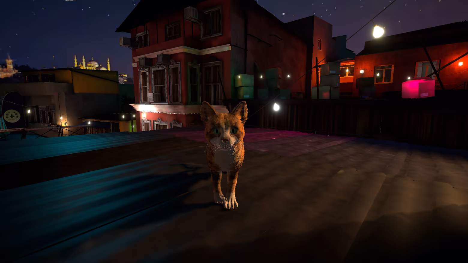 The mother cat approaches across the night rooftops, with the Golden Horn skyline behind her.