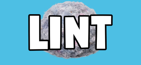Lint