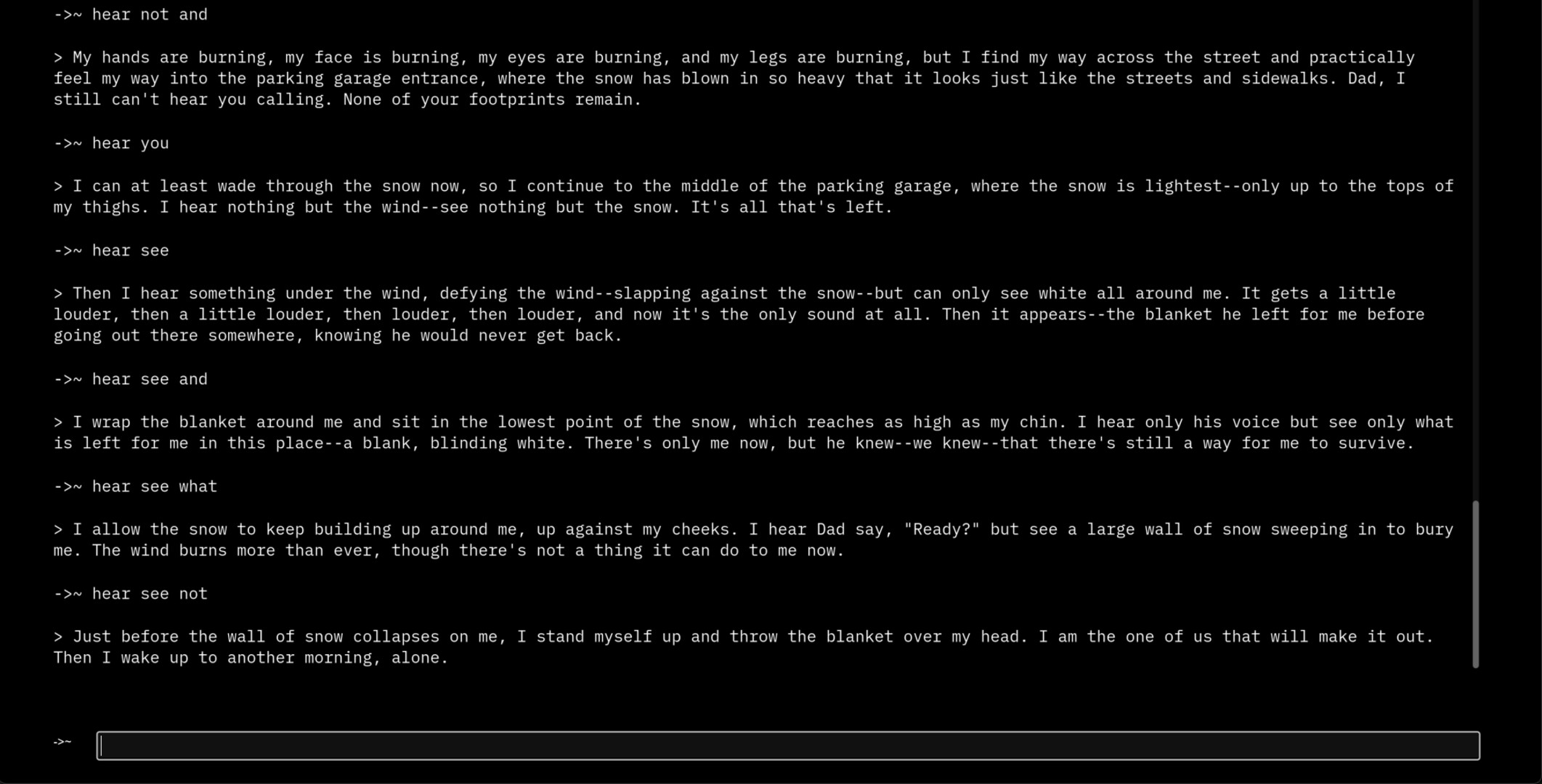 Terminal screenshot 9