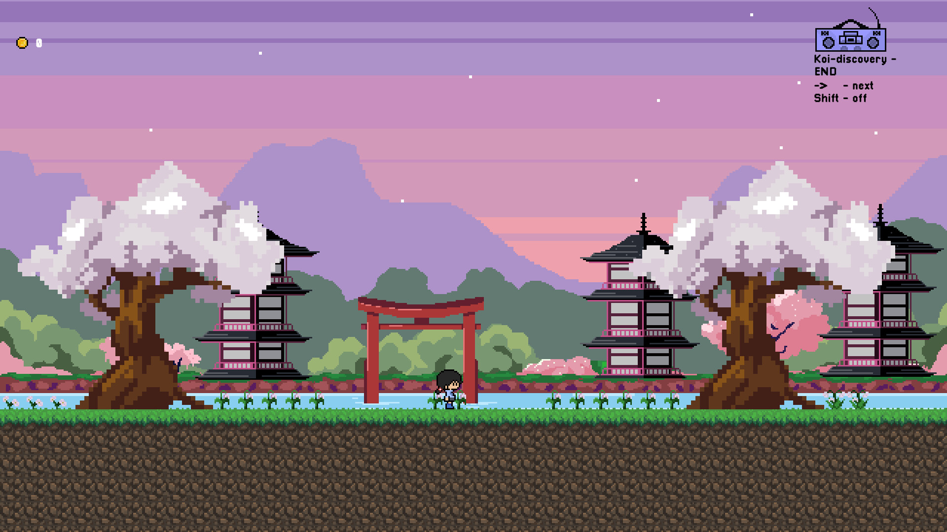 IRIS screenshot 6
