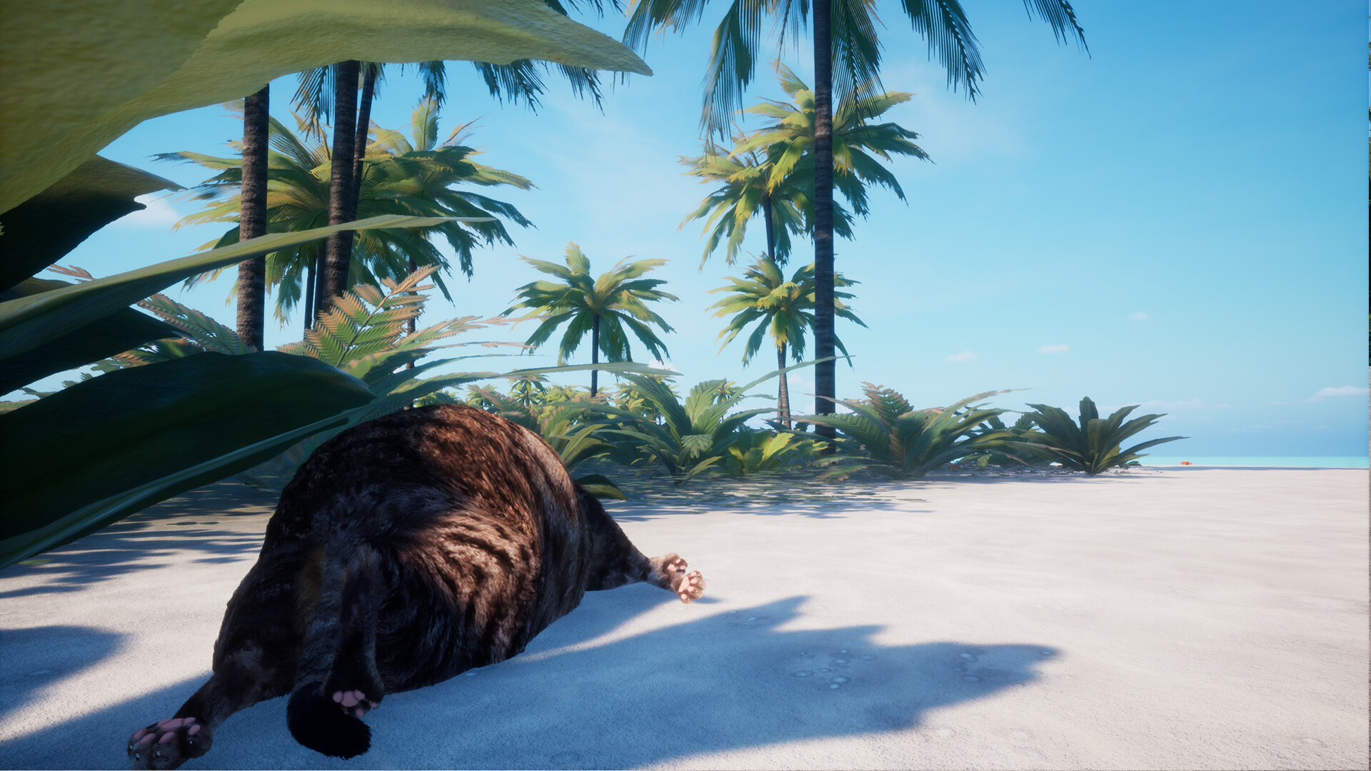 Chonky Cat screenshot 1
